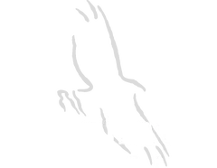 Grayhawk Golf Club - Online Shop